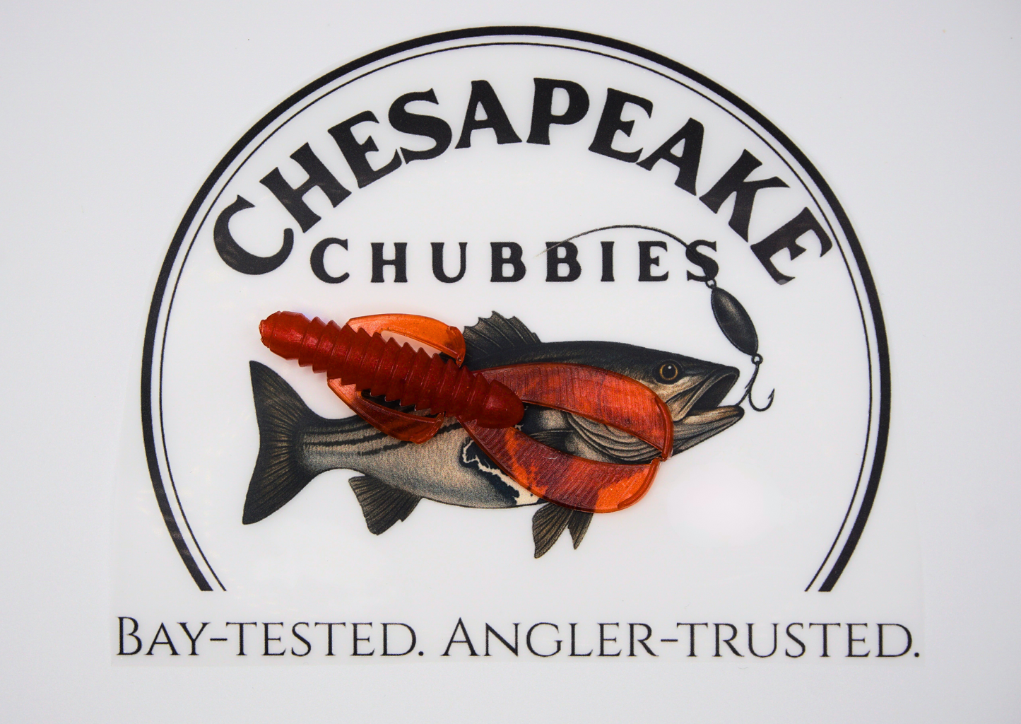 Bay Bugs 2.5" Softbait